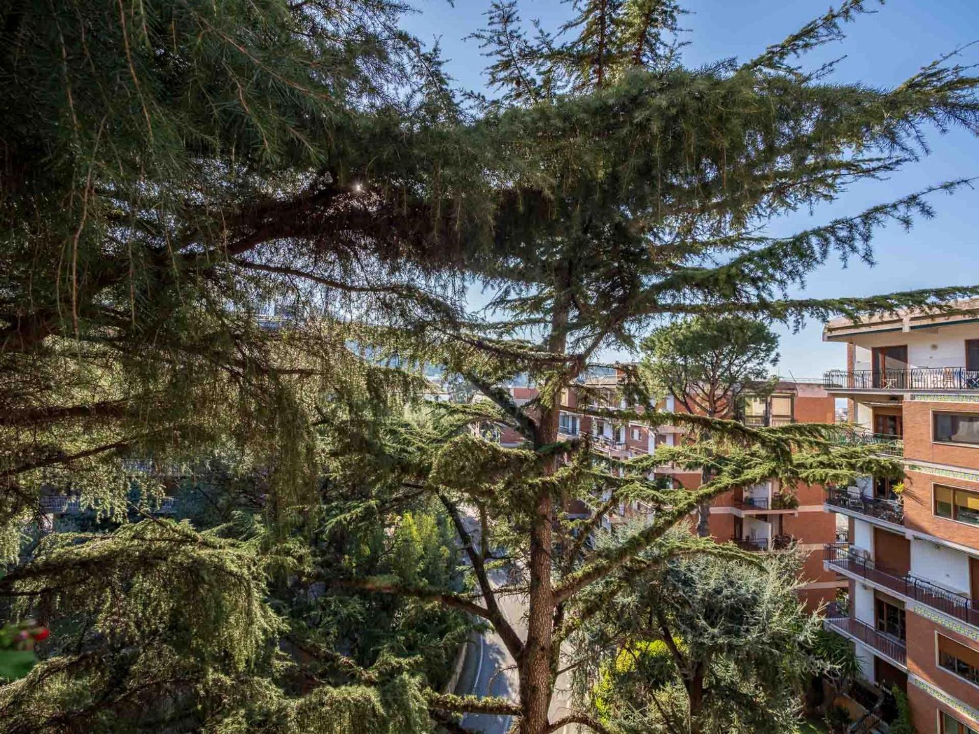 Apartamento Pine House Península Sorrentina Exterior foto